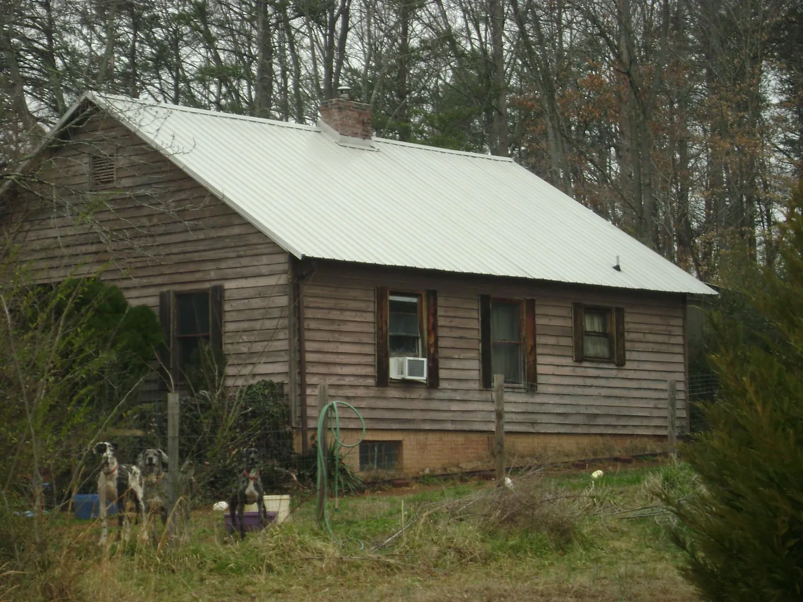 White metal roof on an old wood sided farmhouse, from a Asphalt Shingle Roof Repair job in Evansdale
